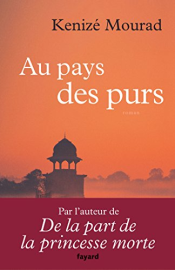 Au pays des purs (Littérature Française)
